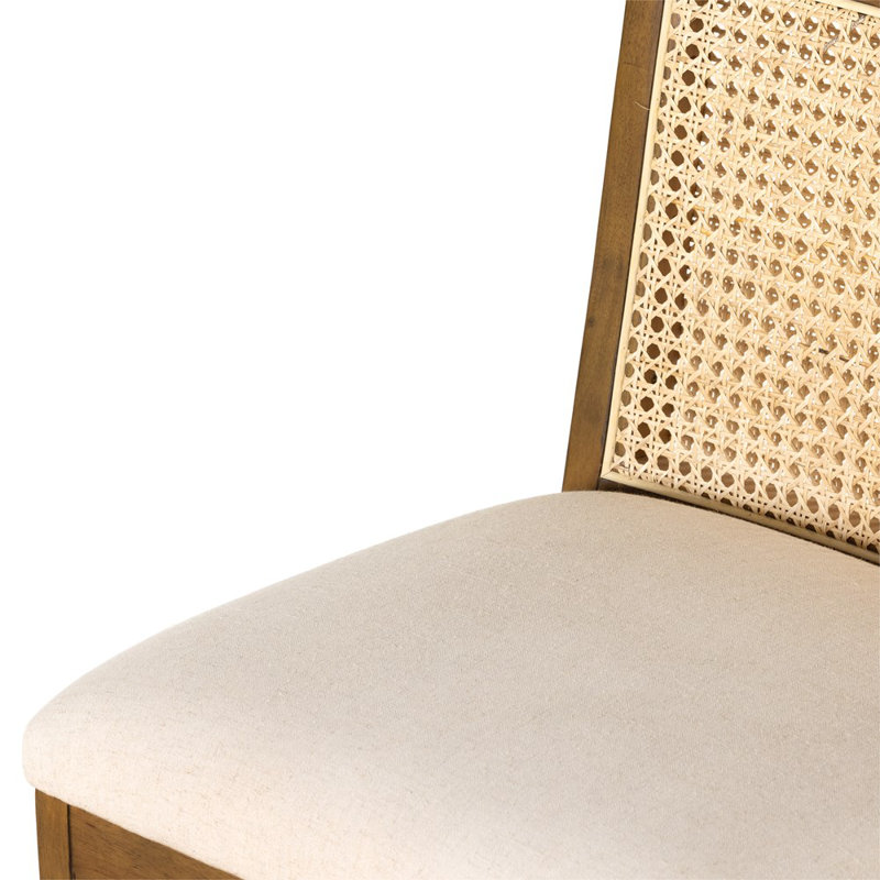 Antonia Cane Armless Counter & Bar Stool, Counter Stool (27" Seat Height), Brown/Natural/Taupe