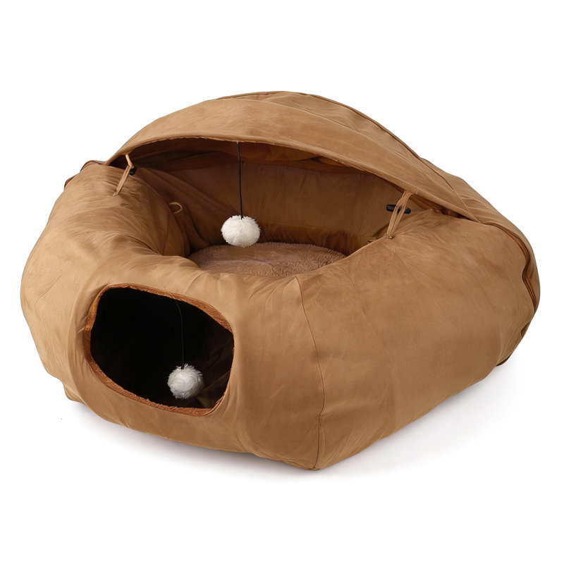 Agneau, chat, beignet, tunnel, brun clair, Tanné
