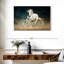 Cheval blanc Brampt-107870197