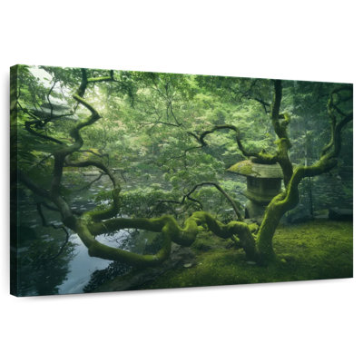 Arbre japonais Alvord