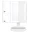 Froy Plastic Flat Freestanding Makeup / Shaving Mirror with Drawers