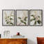 Série d'étude florale Lxxxvi-lot de 3 estampes giclées encadrées-prêt à être accroché-107268622-107268624
