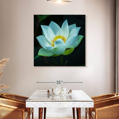 Lotus à l'aube