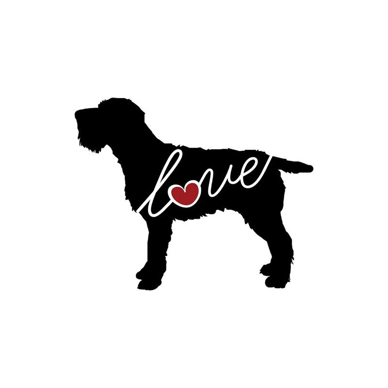 Wirehaired Griffon by Traci Anderson - Wrapped Canvas Gallery-Wrapped Canvas Giclée, 30.48 cm H x 45.72 cm W