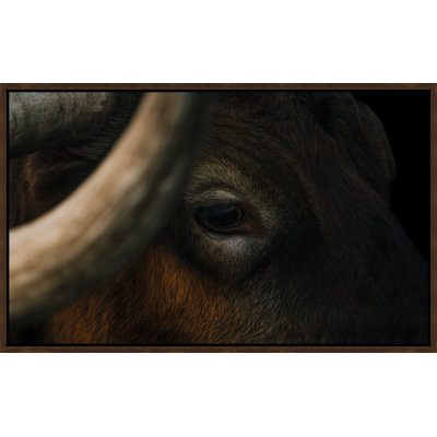 Hidden Eyes Print by Adam Mowery