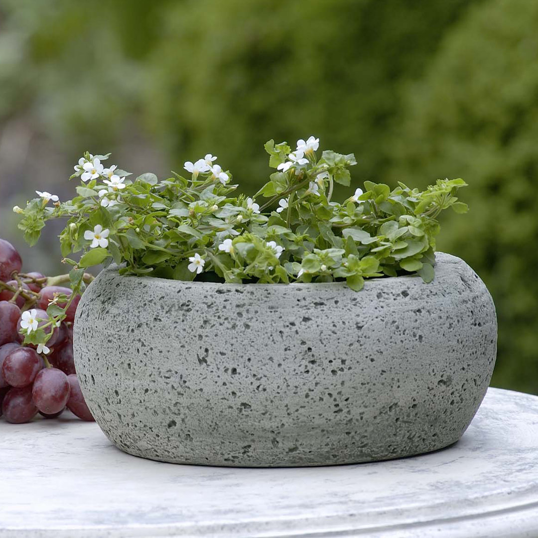 Wieczerza Handmade Pot Planter Ivy Bronx 