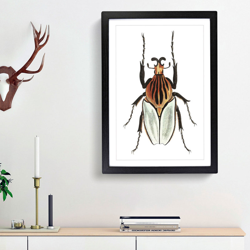 Cacique Beetle by George Shaw - Picture Frame Painting Print, Black Framed, 48cm H x 36cm W x 2cm D