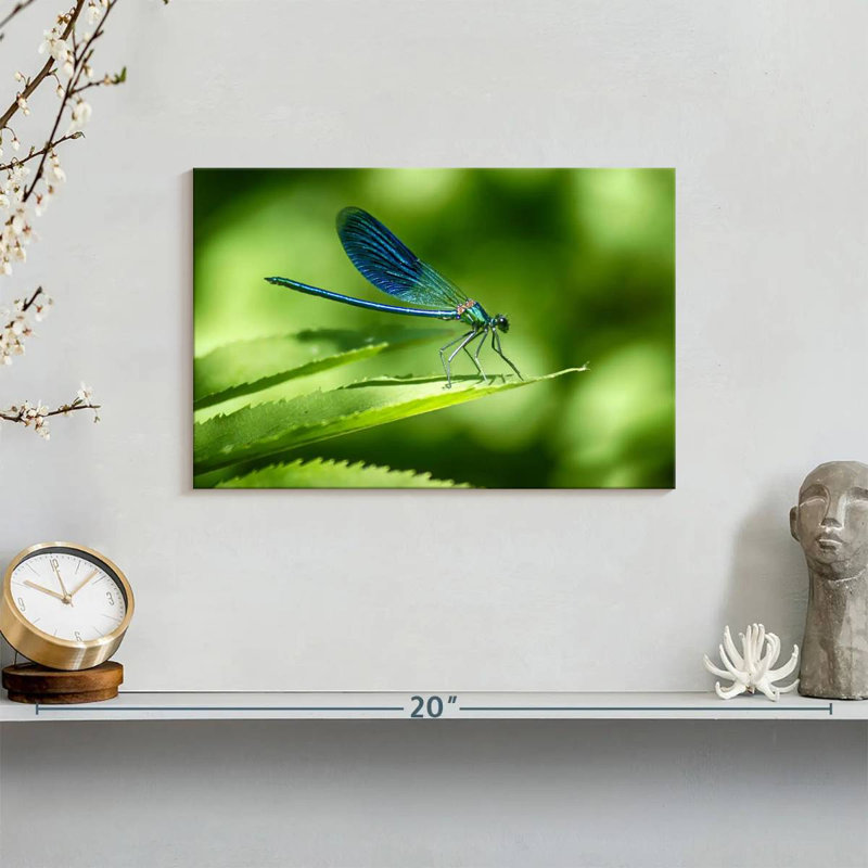 Brampt Dragonfly On A Leaf, 8" H x 12" W