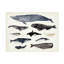 Art graphique sur toile Victoria Barnes-1767070823