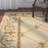 Clarence Indoor Rug-20963903