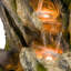 Jaason Fountain with Light-97804497