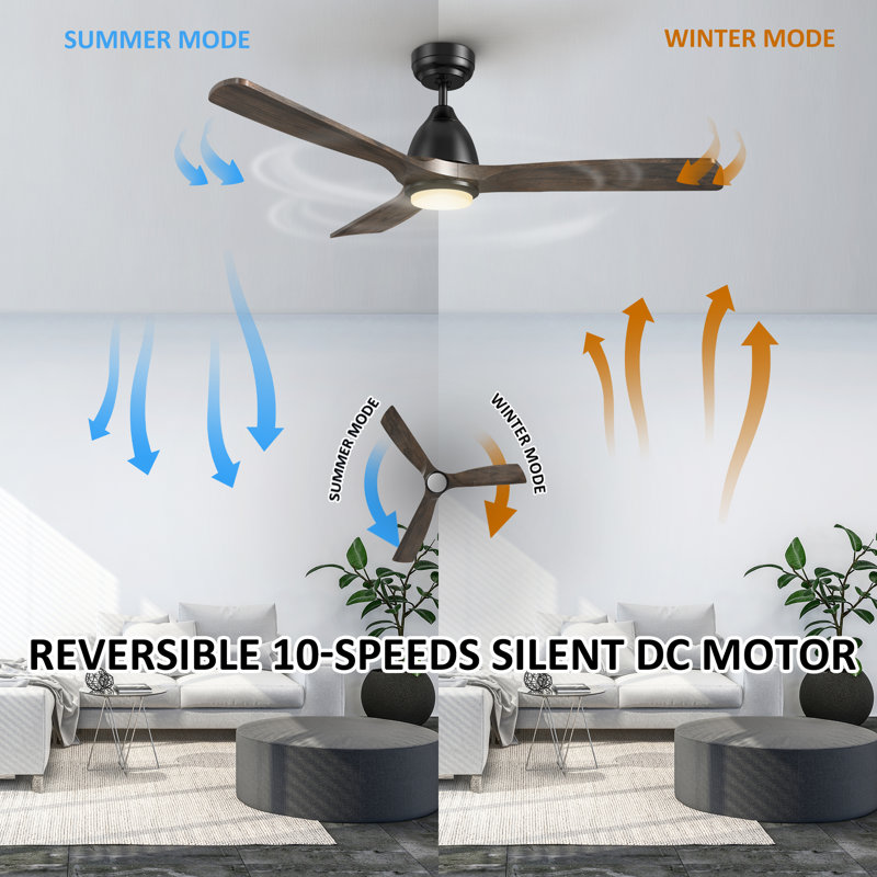 Ventilateur de plafond 48 "à 3 pales avec télécommande et éclairage inclus Elimelech