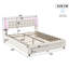 Velvet Hybrid Storage Beds Bed