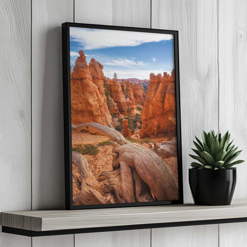 «Canyon Weathered Wood» par Martin Podt, reproduction d'art, L 8 po x H 12 po, Doré, Impression encadrée