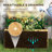 Raised Garden Bed with Trellis and Plant Shelf, Nature Wood