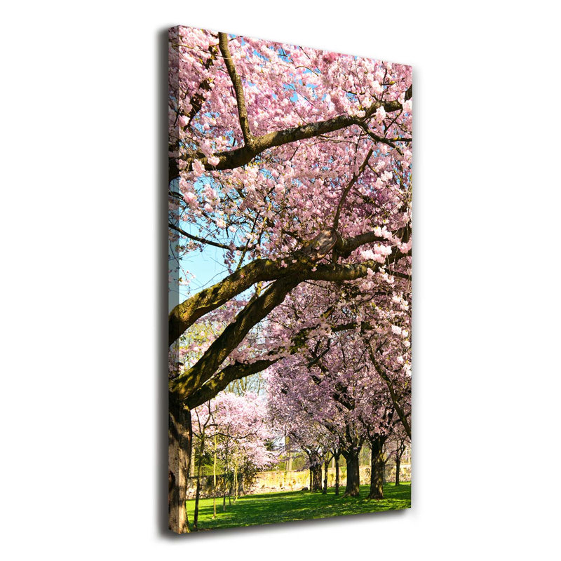 Cherry Trees - Wrapped Canvas Print