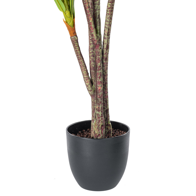Elegant Silk Touch 63" Dracaena Outdoor Potted Floor Plant