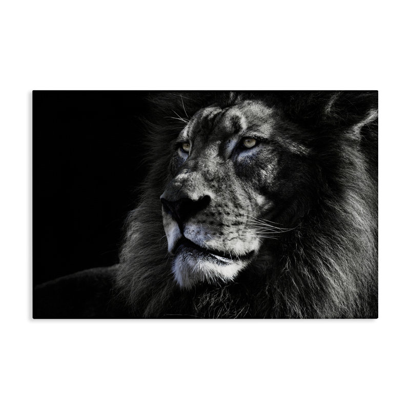 «Lion Portrait Close Up», art mural par Danita Delimont, H 30 po x l 45 po