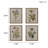 Botanical Illustration Wall Art Set