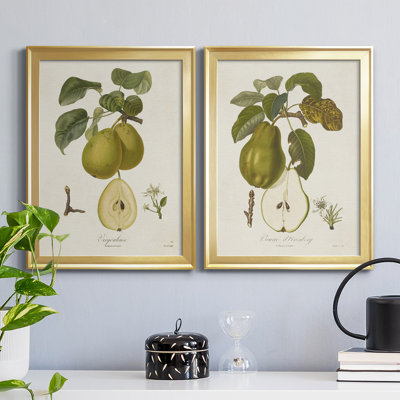 Vintage Pears III - ensemble de 2 impressions sur toile encadrées