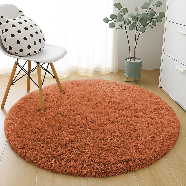 Alexxis Standard Shag 120cm X 120cm Area Rug