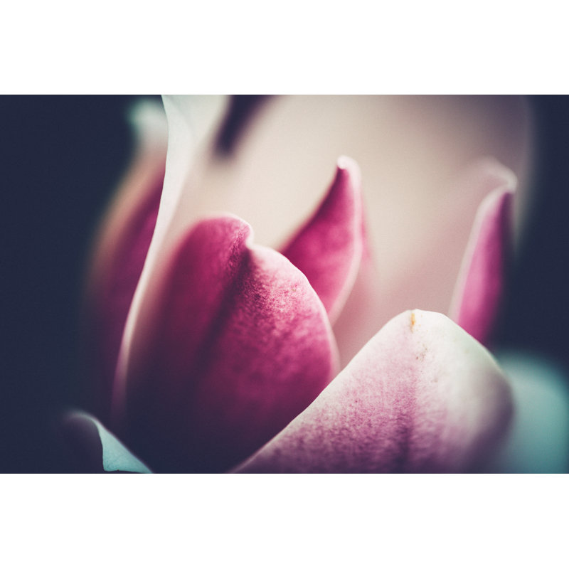 Flower by Rike_, 20" H x 30" W