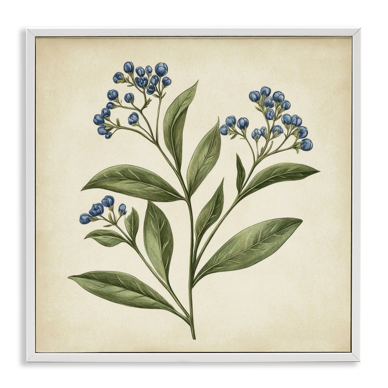 Illustration botanique de bourgeons, estampe numérique, design par Petal Prints Design, H 17 po x l 17 po