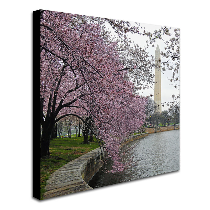 Washington fleurs, reproduction de photo sur toile tendue, H 35 po x l 35 po x P 2 po