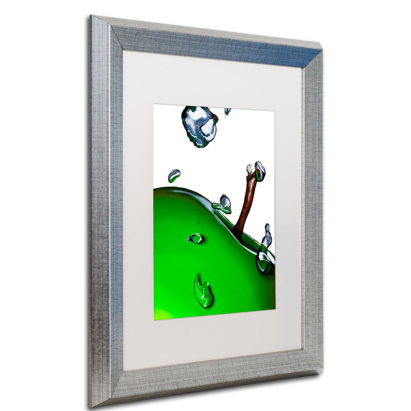 « granny splash ii » par roderick stevens, impression encadrée, H 20 po x l 16 po x P 0,5 po