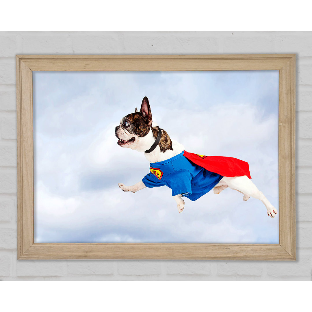 Gerahmtes Poster Super Dog Skies