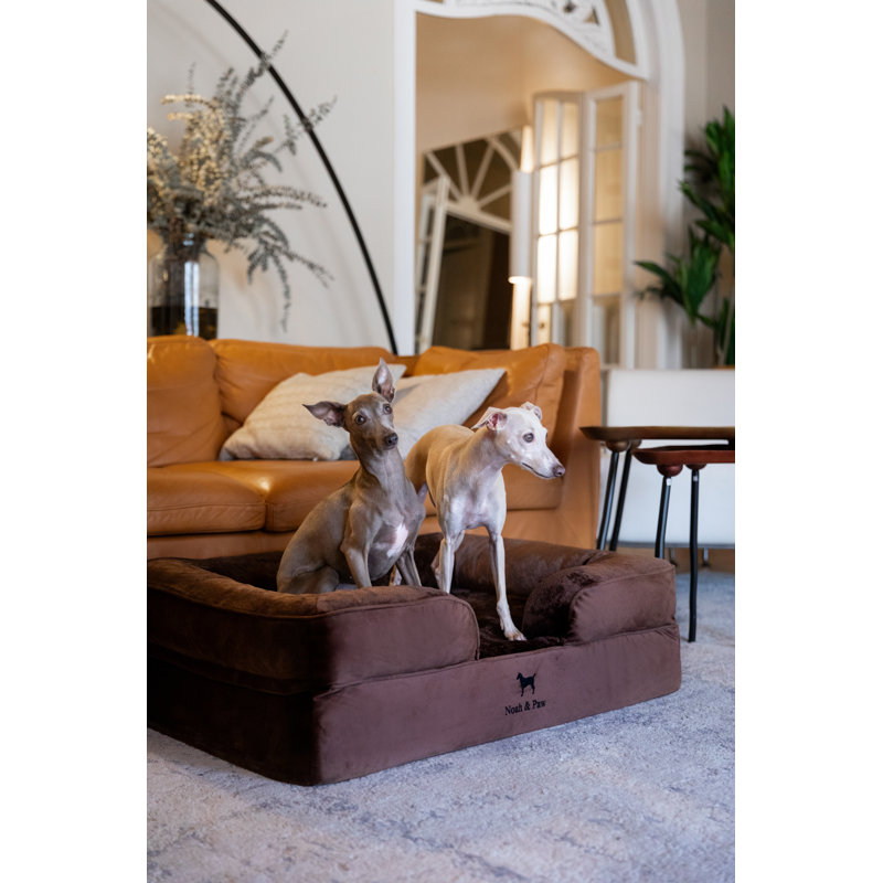 Noah & Paw Giant Dog Bed XXL,  Orthopedic Dog Beds, Eggshell Memory Foam Infused with Cooling Gel, Inner Cover, Waterproof, Machine Washable (Velvet Sofa Collection)