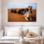 Chameaux Brampt au Maroc-108691758