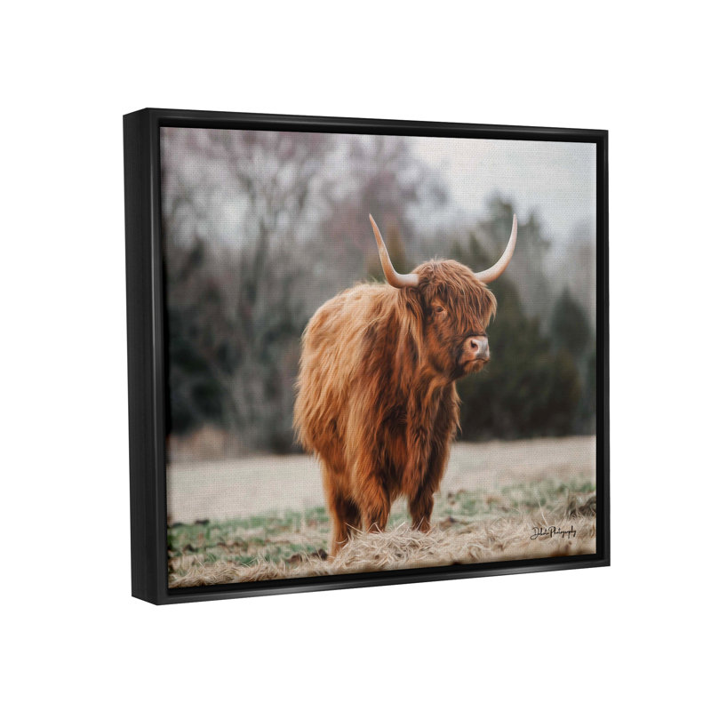 «Serene Highland C bestton» par Dakota Diener - reproduction de cadre flottant sur toile, H 30 po x l 40 po x P 1,5 po