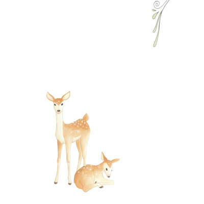 Bébés animaux VI