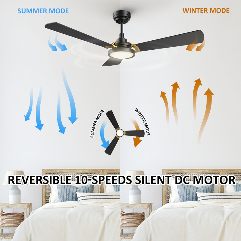 52'' Ceiling Fan with LED Lights, Black/Golden