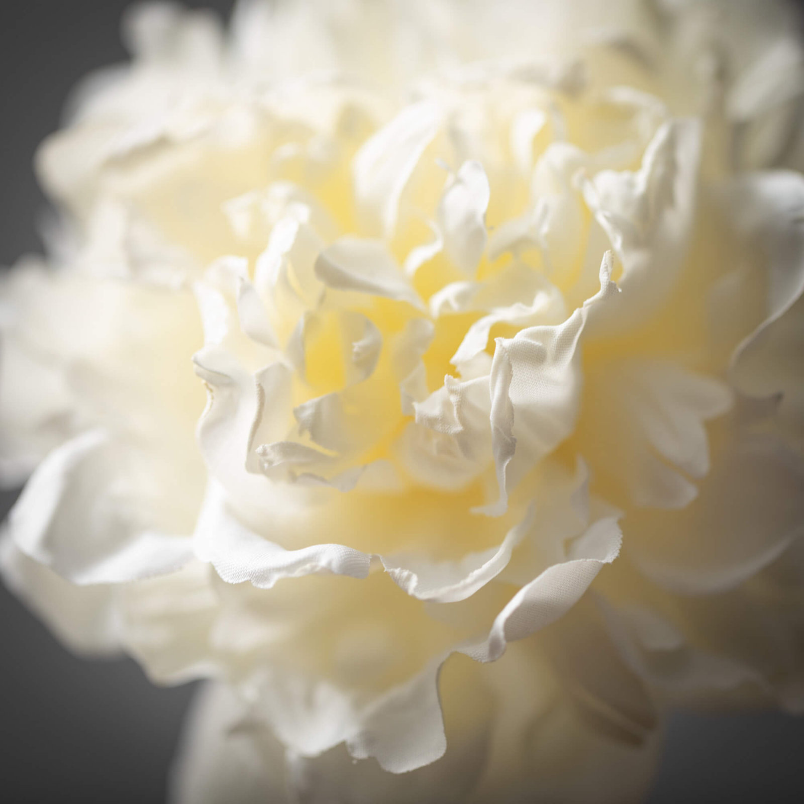 Peony Floral Stems, Cream