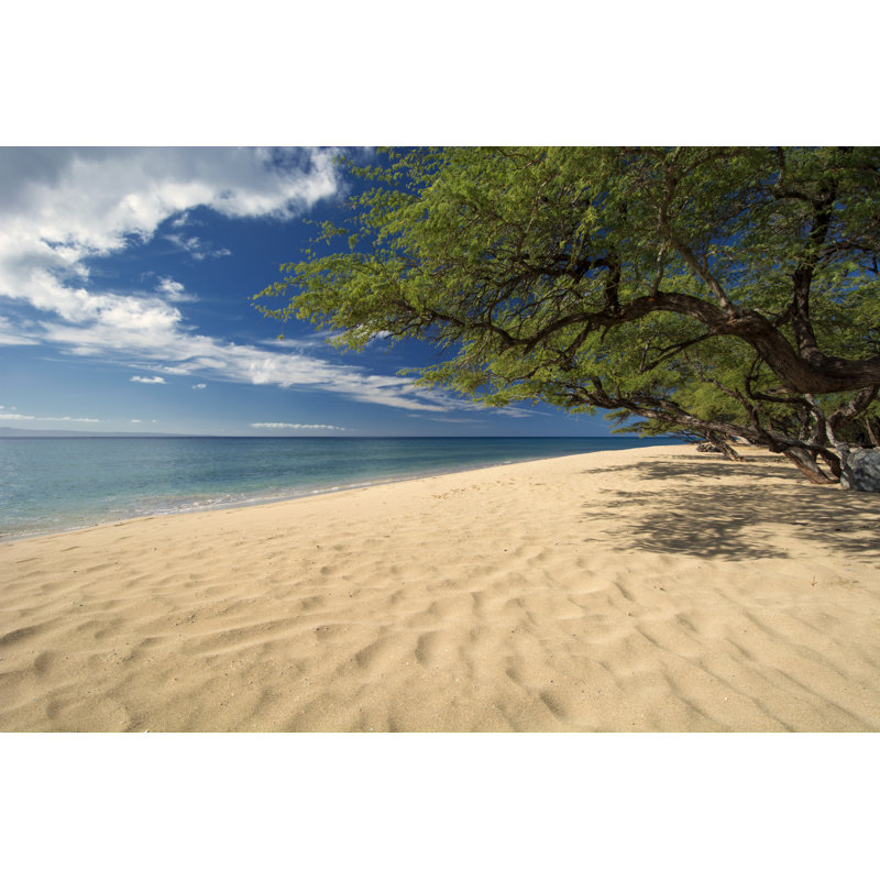 Papalaua Beach by 7Michael - Wrapped Canvas Print, 81cm H x 122cm W x 3.8cm D