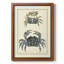 Toile encadrée de qualité supérieure antique Blue Crabs II - prête à être accrochée-441027642