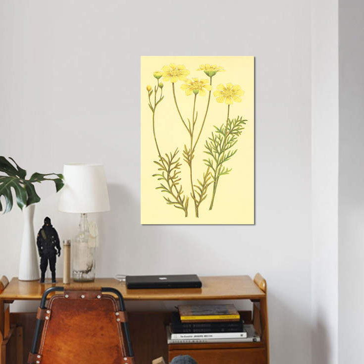 « newberry leucampyx », impression sur toile, H 26 po x l 18 po x P 1,5 po