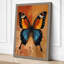 Symmetrical Butterfly Study Boho - Wrapped Canvas-1452777059-1452777045