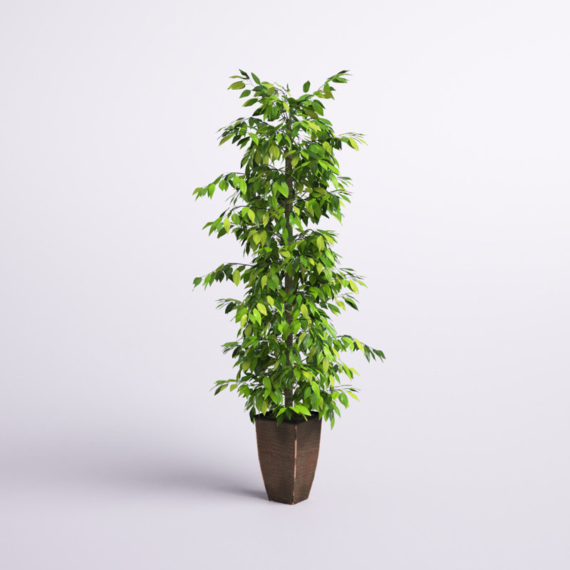 96'' Faux Ficus Tree in Metal Planter