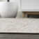Amoret Modern Flatweave Solid Light Gray Indoor/Outdoor Rug