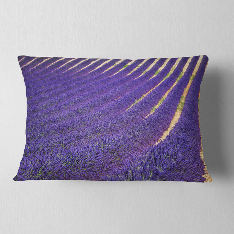 Coussin lombaire Schafer
