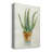 " Succulent IV " Painting Print-590337806