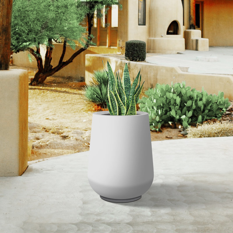 Pot à fleurs en béton Laihla, Blanc, H 13,8 po x l 10,7 po x P 10,7 po