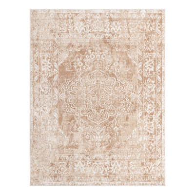 Oriental Indoor Rug