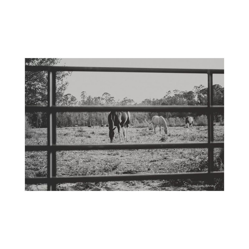 Farmhouse Perspective by Melissa Hanley - Wrapped Canvas Print, 20.32 cm H x 30.48 cm W