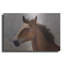 «Horse pensé» par John Silver-1688792103