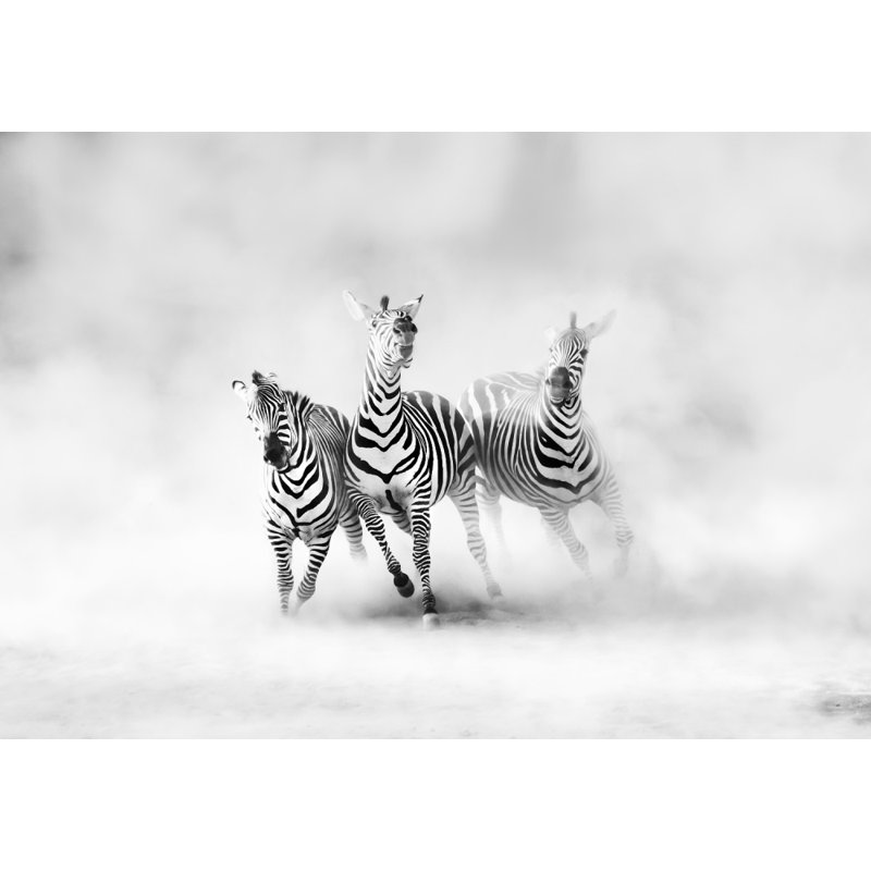 Wrapped Canvas Print, 76.2 cm H x 50.8 cm W