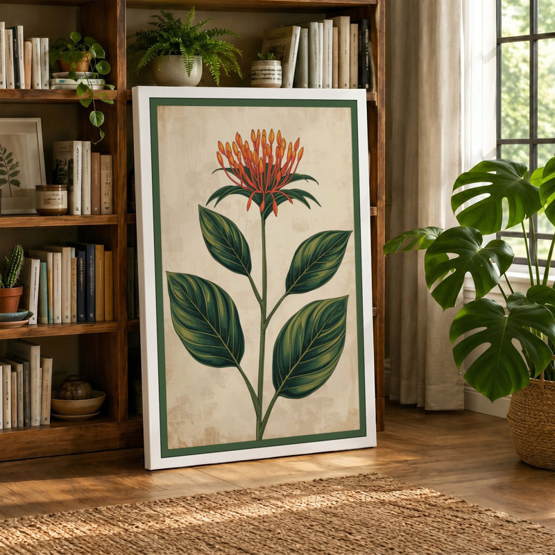 Study Botanical - Wrapped Canvas, 18x12 - 45.7 x 30.5 cm, Terracotta Border
